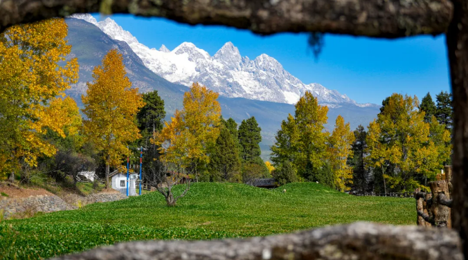 美魯納西村招聘